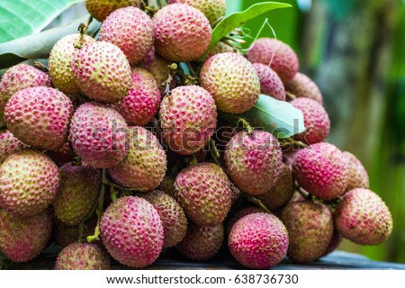 lichee, Litchi  fruits,
Scientific name Lichi chinensis Sonn Royalty-Free Stock Photo #638736730