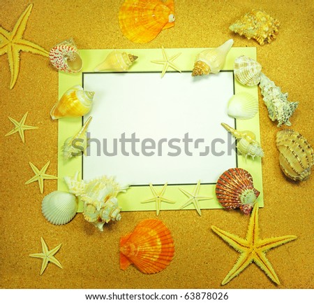 Sea frame with starfishes and shell