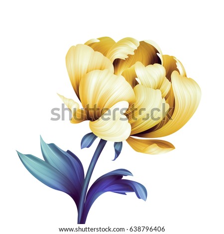 abstract tropical flower, botanical illustration, decorative peony, curly leaves, clip art element isolated on white background