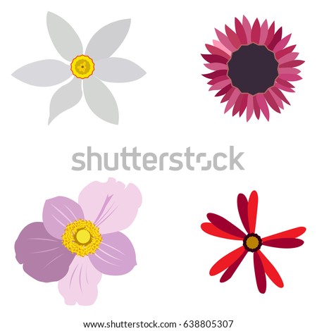 Set of colored flowers on a white background, Vector illustration
