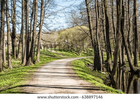 forest road with sun rays and shadows in the morning in the countryside