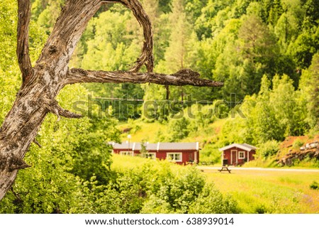 Withered dead tree in the foreground and picnic site table and benches in the background, norwegian mountains, Scandinavia Europe.