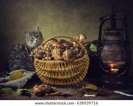 Kitten and basket with mushrooms