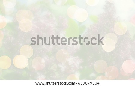 Beautiful white floral background