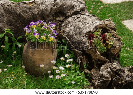 Clay jug with flowers on the lawn