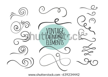 Hand drawn vintage calligraphic elements set. Floral set. Ornamental decorative elements. Vector flourish ornate elements design. Calligraphic kit.