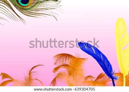  peacock and other feather texture in pink background with text copy space