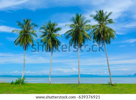 COCONUT PALM TREES ON GREEN GRASSLAND STAND IN ROW NEARBY SEASIDE IN WONDERFUL CLEAR BLUE SKY CLOUD DAY