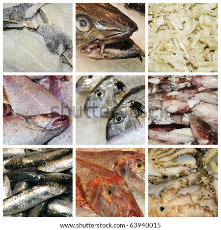 a collage of nine pictures of different seafood