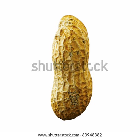 A single isolated peanut over white background