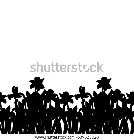 Postcard of black small narcissus flowers silhouette isolated on white. Vector