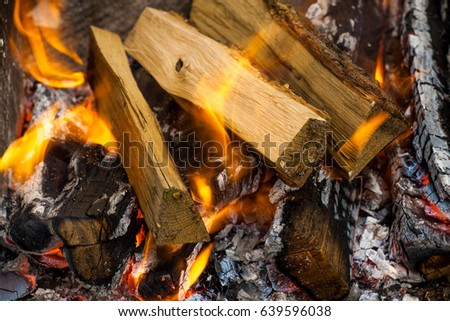 Fire flames background. Firewood is burning in the grill in the open air.