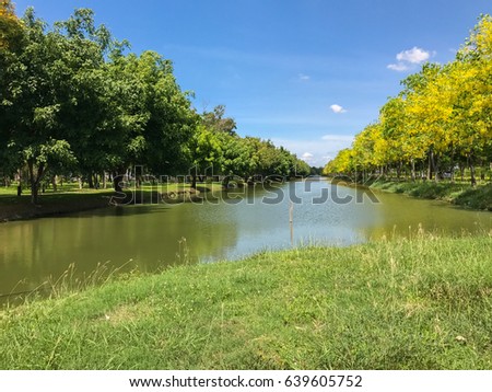 pond with tree in the park