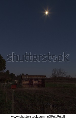Camargue landscape at night with the Moon