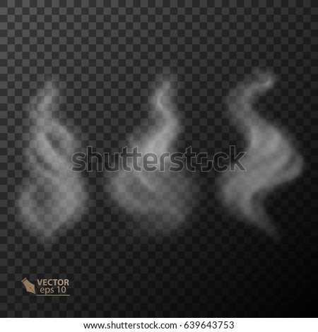 Set of transparent smoke on dark background. vector 10_eps