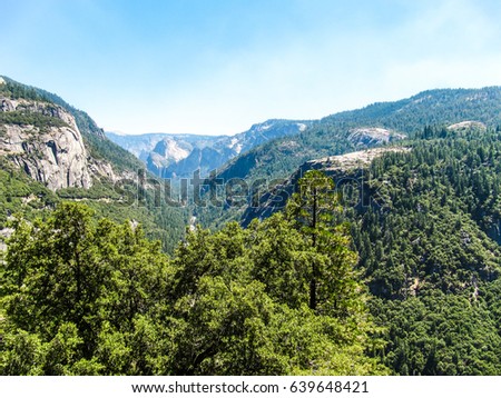 Aerial view of landscape during summer in Yosemite National Park with many pine trees and mountains