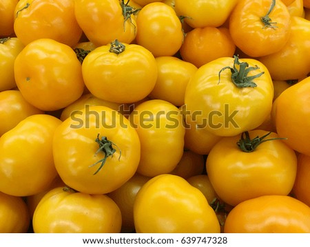 harvest of yellow tomatoes. perfect yellow tomato harvest. many yellow tomatoes. tomato wallpaper. 