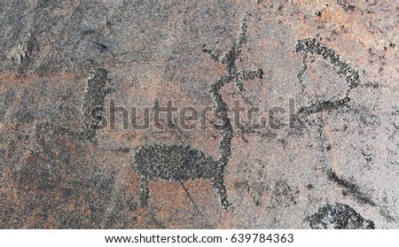 Petroglyphs on rock. The ancient prehistoric petroglyphwith image the figure of a deer on the rocky coast of Lake Onega. Russia Pattern on a stone.Picture on a stone. Rock paintings.History.Archeology