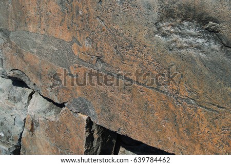 Petroglyphs on rock. The ancient prehistoric petroglyph with a picture of an animal on the rocky coast of Lake Onega. Russia.Pattern on a stone. Picture on a stone. Rock paintings.History. Archeology