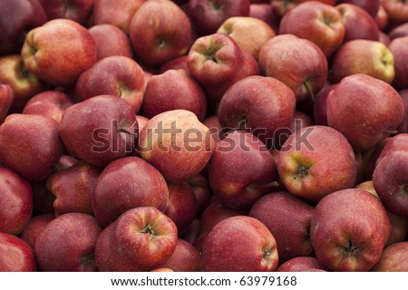 Bushels full of fresh red delicious apples for sale. Shallow depth of field.
