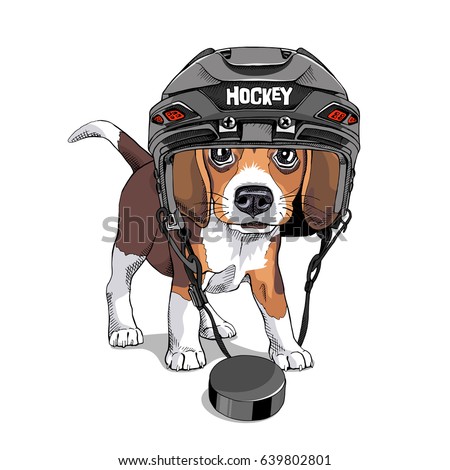 Portrait of a Puppy Beagle in a Ice Hockey Helmet and with a puck. Vector illustration.