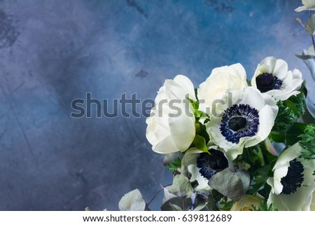 Fresh colorful Anemones flowers on gray background with copy space