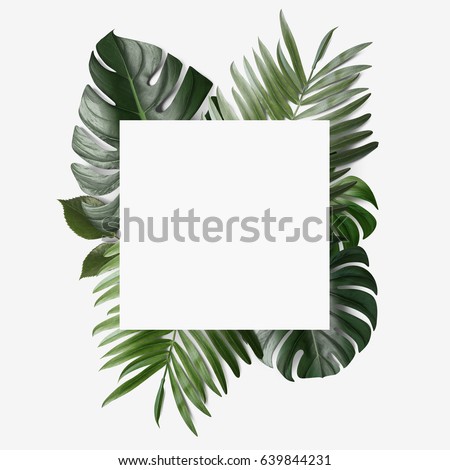 Palm leafs background concept