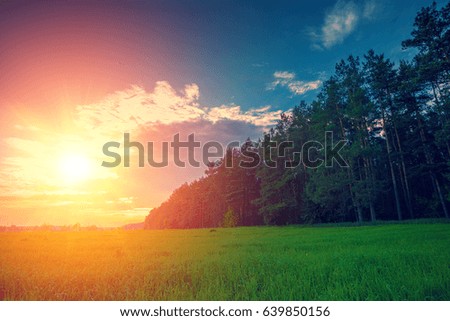 Evening rural landscape in spring. Field and forest