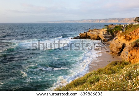 La Jolla Cove on a late afternoon. Photo showing seals lying on the beach surrounding by cliffs. The Cove is protected as part of a marine reserve.