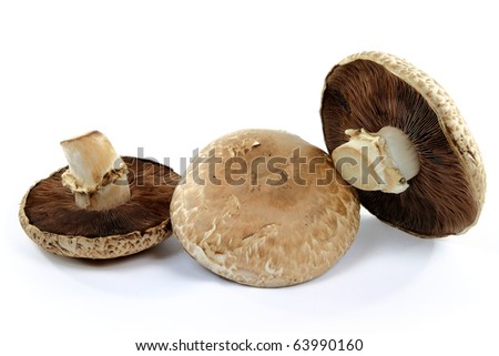 Still life picture of group of three organic mushrooms Portobello top side and bottom sides spores, caps and stalks over white background.