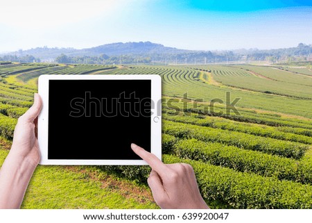 Hand using tablet white clipping path inside at the Tea Plantation
