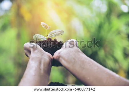 life in your hands.Hands holding and giving a young plant to the air after rain.Environment Protection For New Generation and Greenpeace Sustainable Development concept Royalty-Free Stock Photo #640077142