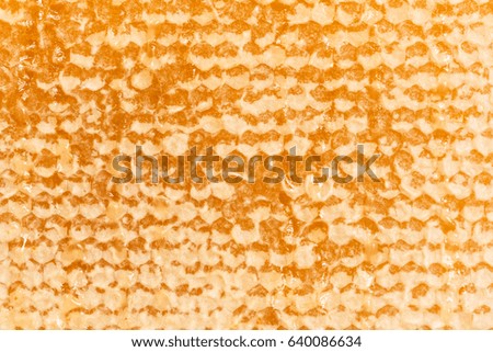 Yellow honey comb background
