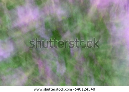Blurred photo of flowers with movement in purple and green  colors. Abstract background or texture made with directional blur, motion effect.