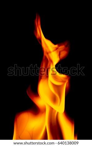 Fire isolated on a black background
