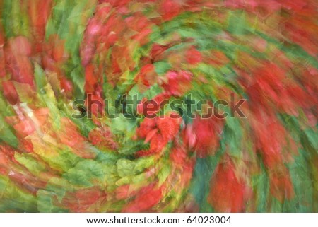 summer flowers in blur motion