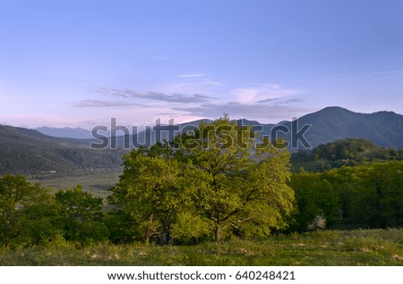 Beautiful tree in the background of mountains and hills. Idyllic landscape. Caucasus, Russia