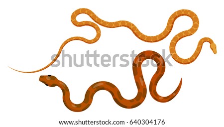 Curved slither red and orange pythons from top view. Creeping elongated spotted tropical snakes vector isolated on white. Crawling poisonous reptile illustration for wild nature concepts, zoo ad