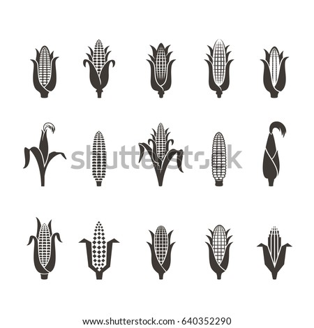 Corn icons. Vector illustration isolated on white background. Royalty-Free Stock Photo #640352290
