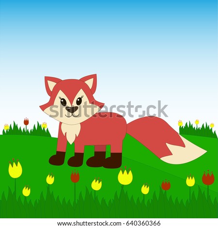 Fox on the field with tulips.