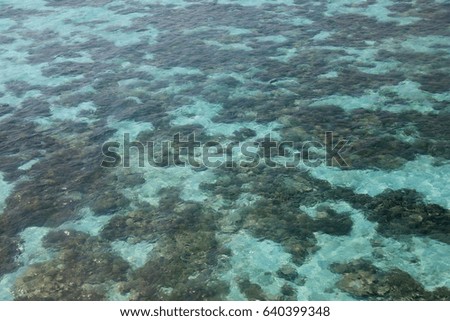 Aerial view of tropical coral reef 