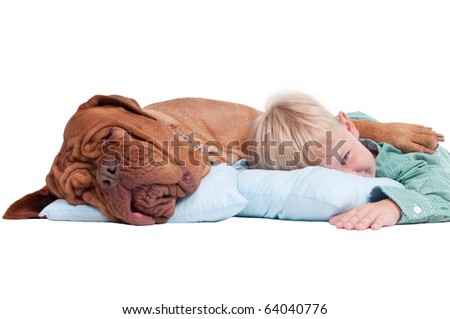 Big dogue de bordeaux and impish boy lying on blue pillows on the floor
