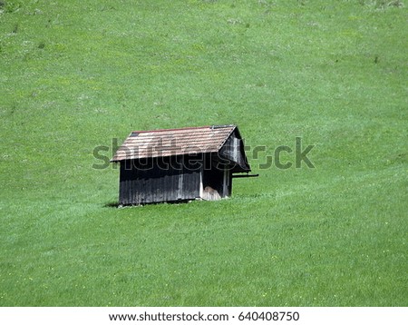 old barn in a meadow, barn and a meadow spring, 