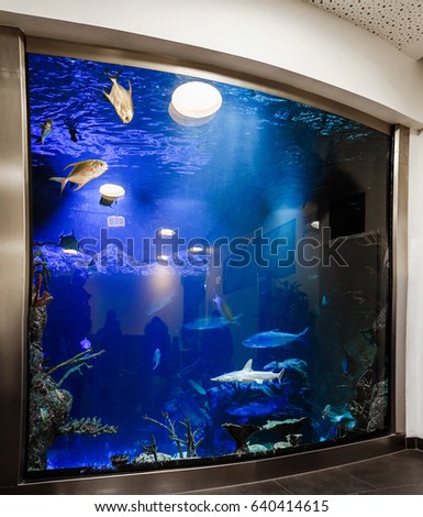 Large aquarium full wall with fish in the building