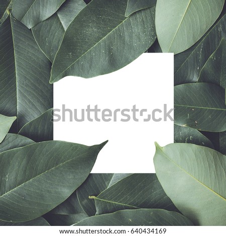 Green leaves background with white space