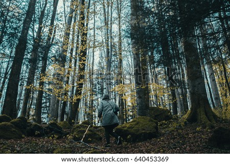 Woman photographer in forest, taking pictures and enjoying view. 