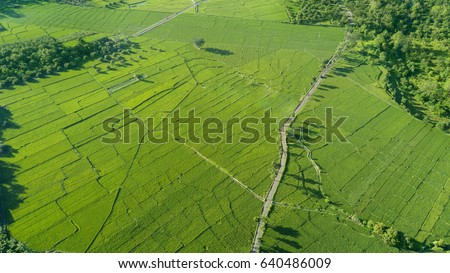 Beautiful aerial view of green paddy field in Majalengka, West Java, Indonesia