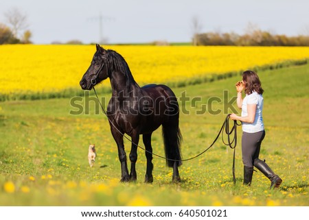 picture of a woman with a Friesian horse on a field