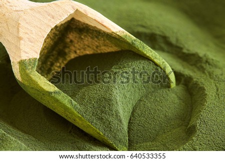 Closeup of chlorella algae powder with wooden scoop Royalty-Free Stock Photo #640533355
