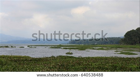 Lake Yojoa, National park in Honduras, Central America, vacation trip, picturesque landscape view on the water with white bird and greenery grass around, sky with clouds in summer day, rainy season